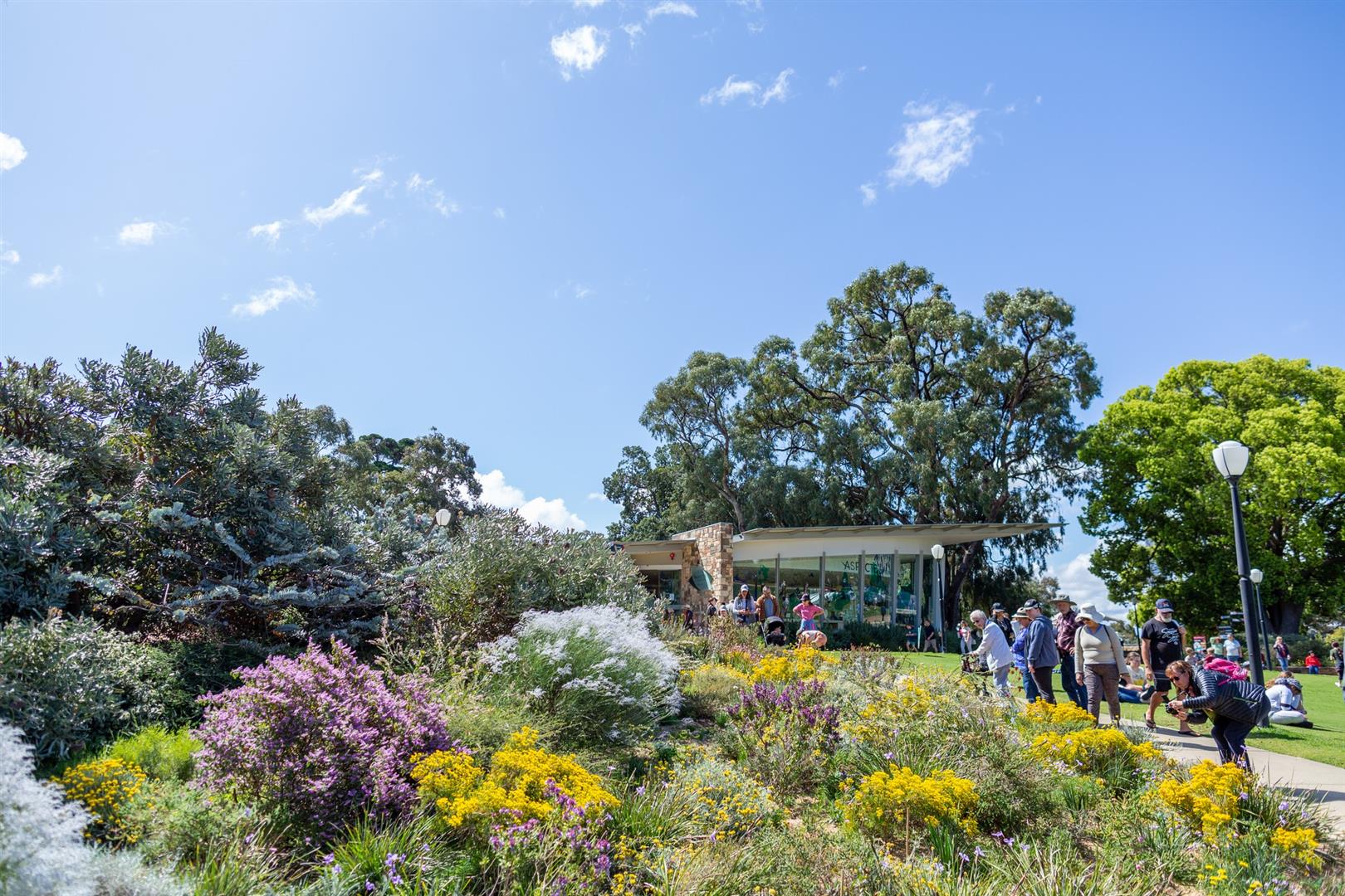 Kings Park and Botanic Garden