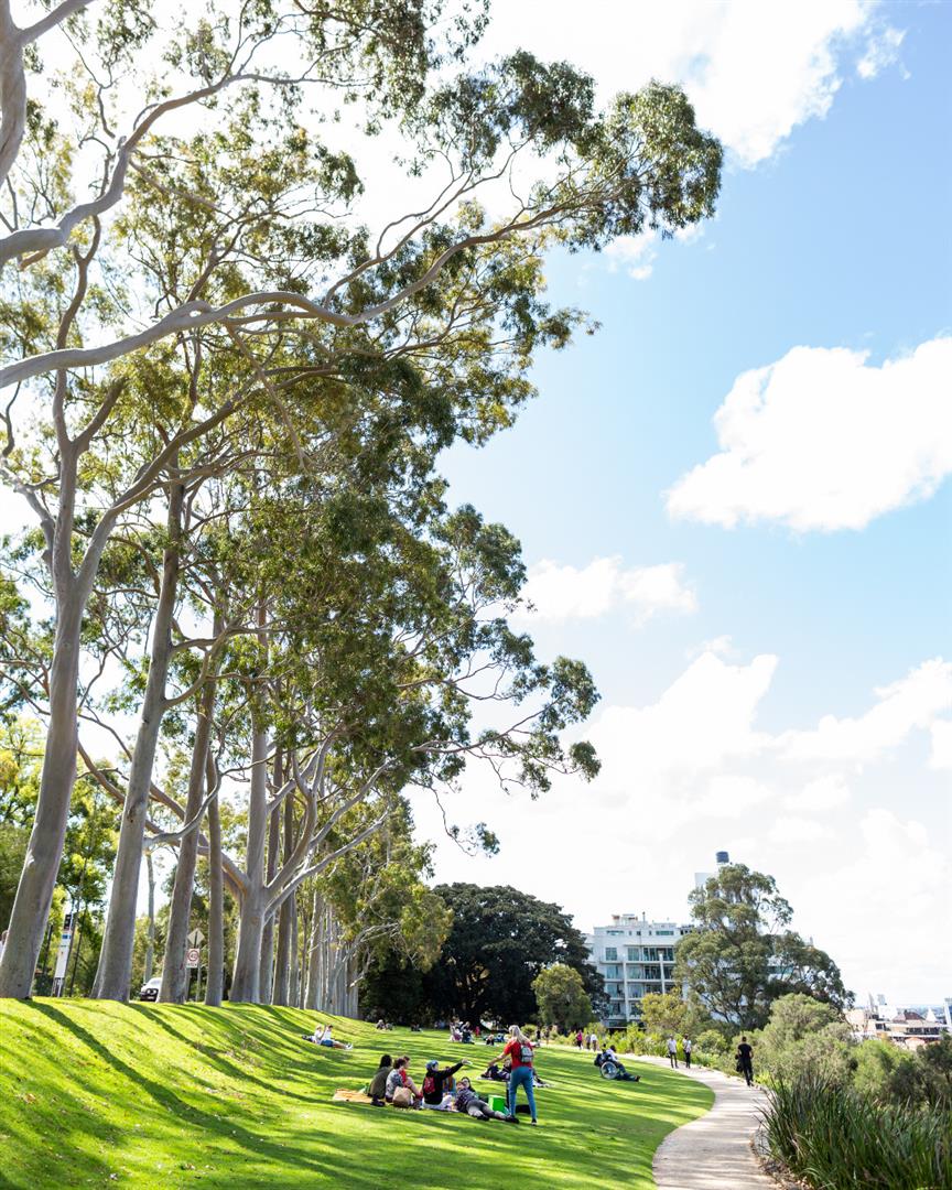 Kings Park and Botanic Garden