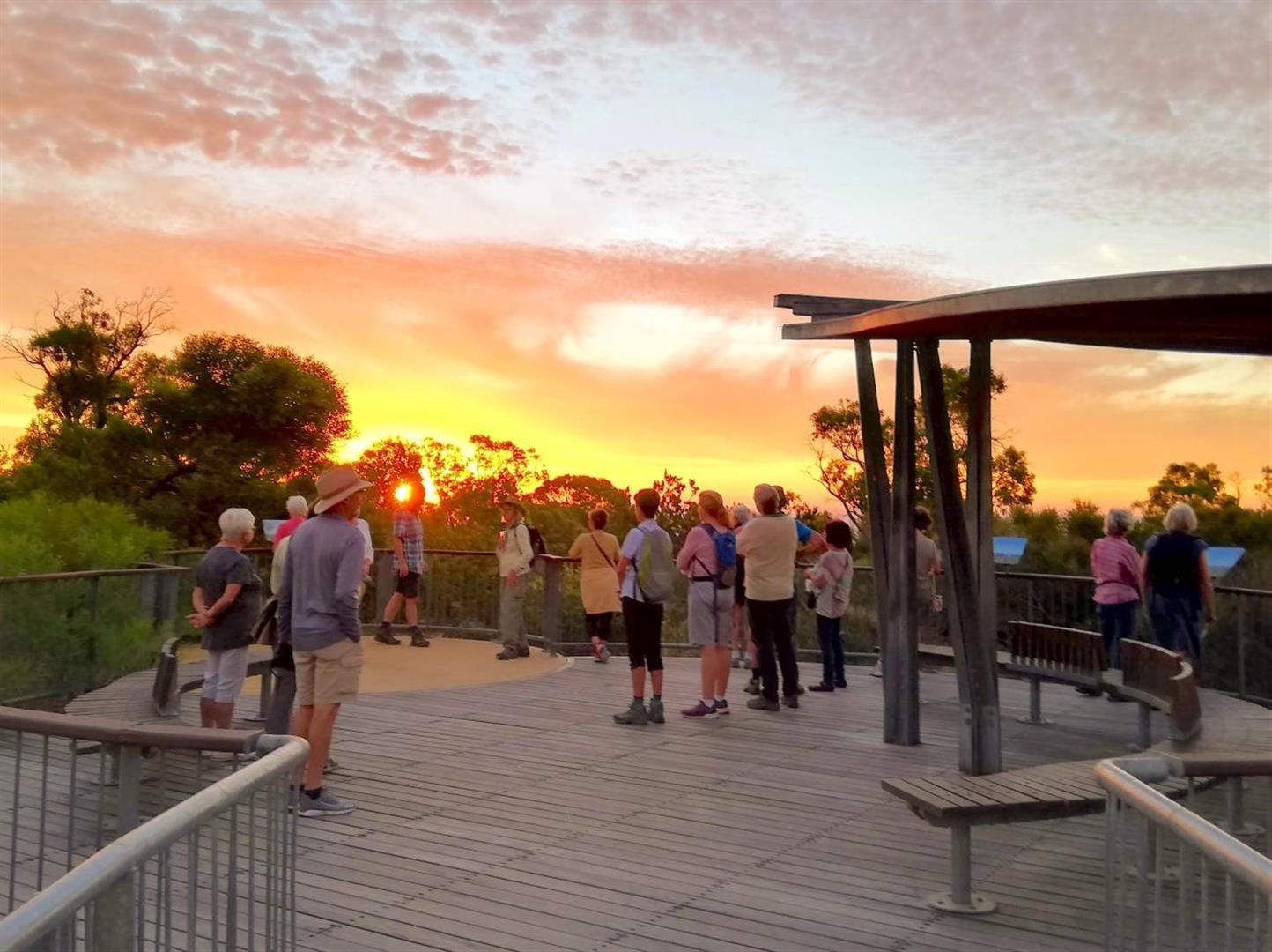 Kings Park and Botanic Garden