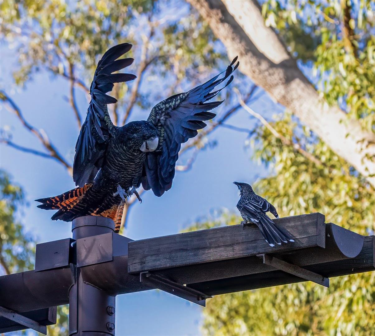 Kings Park and Botanic Garden
