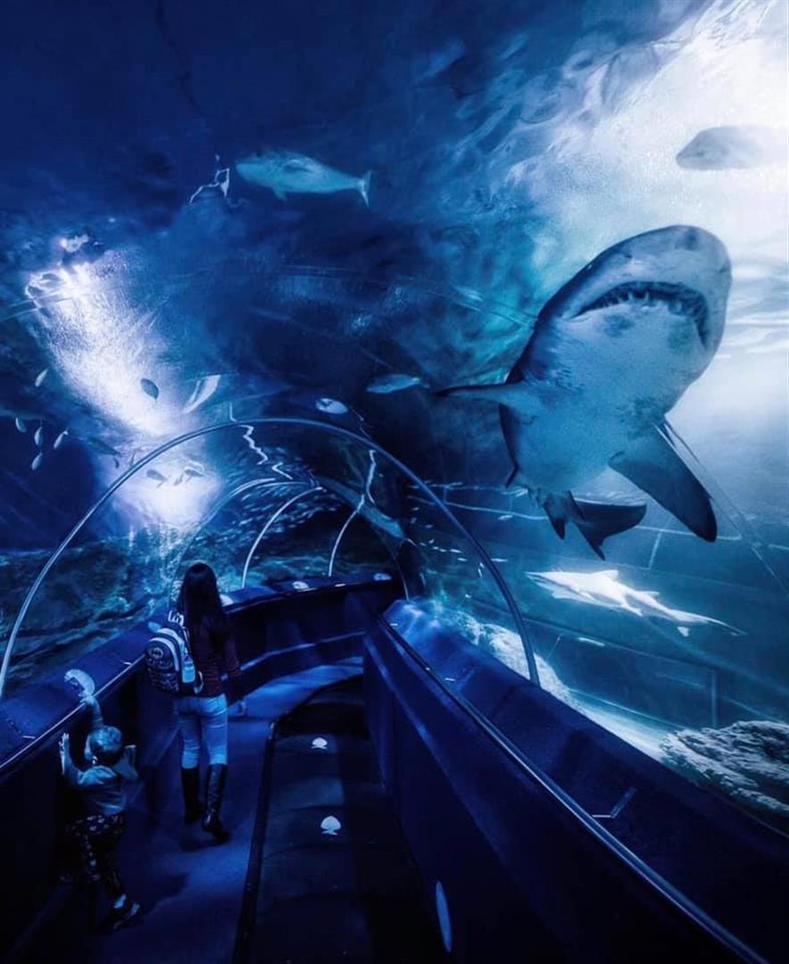 AQWA The Aquarium Of Western Australia