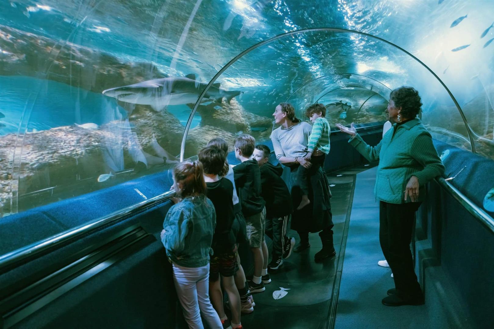 AQWA The Aquarium Of Western Australia