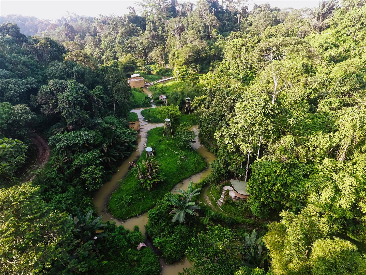Auckland Zoo