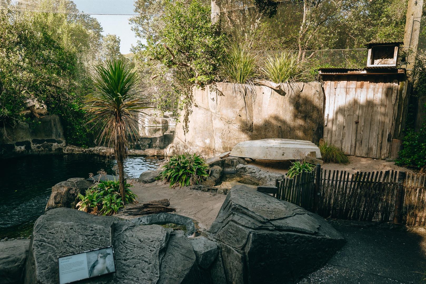 Auckland Zoo