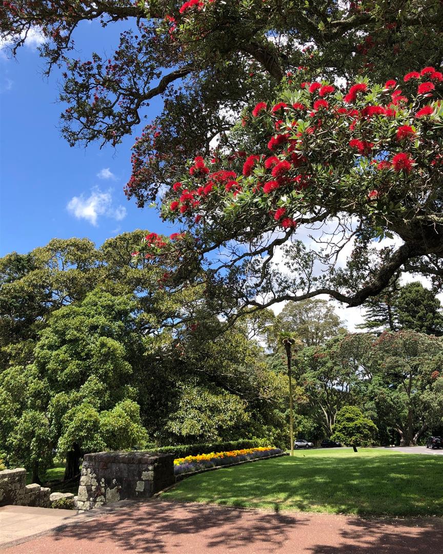 Cornwall Park