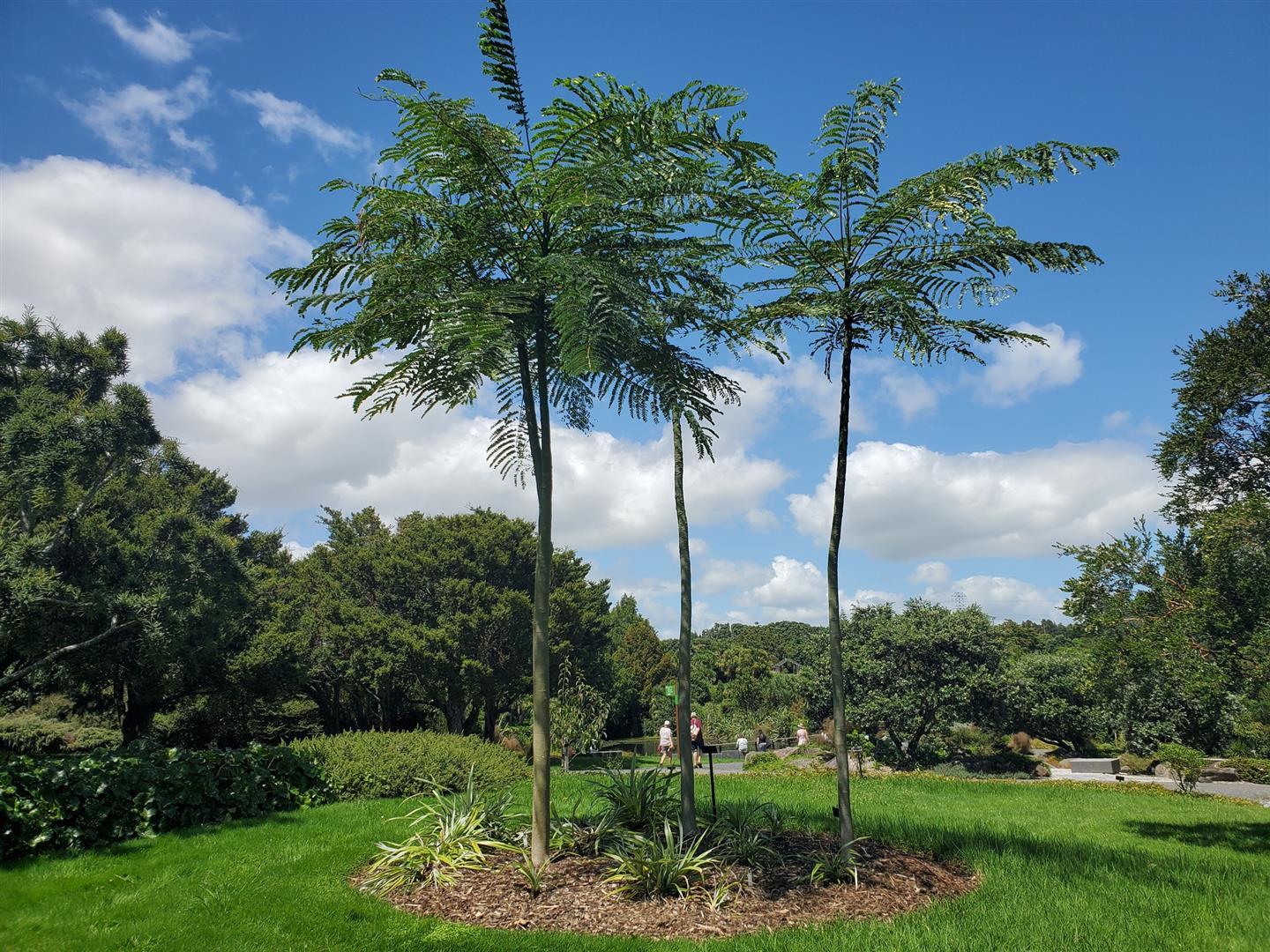 Auckland Botanic Gardens