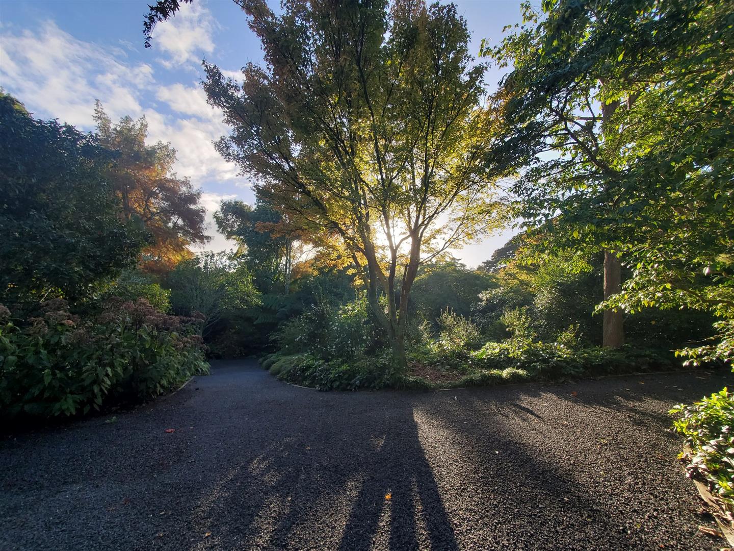 Auckland Botanic Gardens