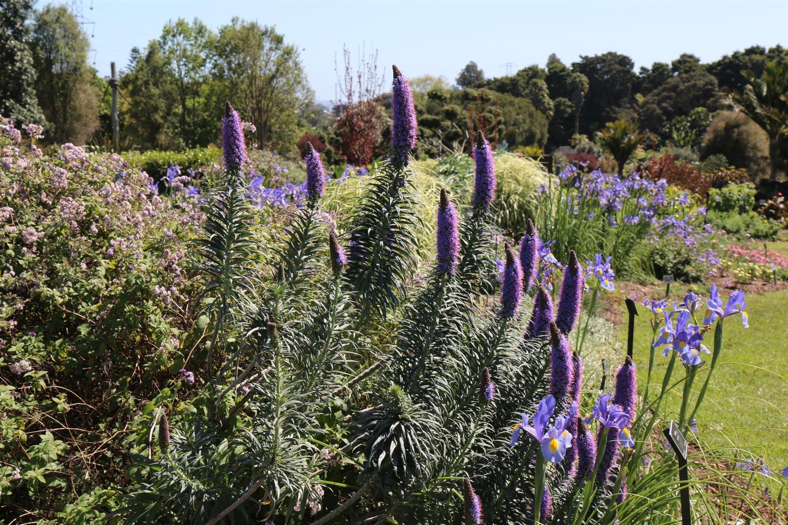 Auckland Botanic Gardens