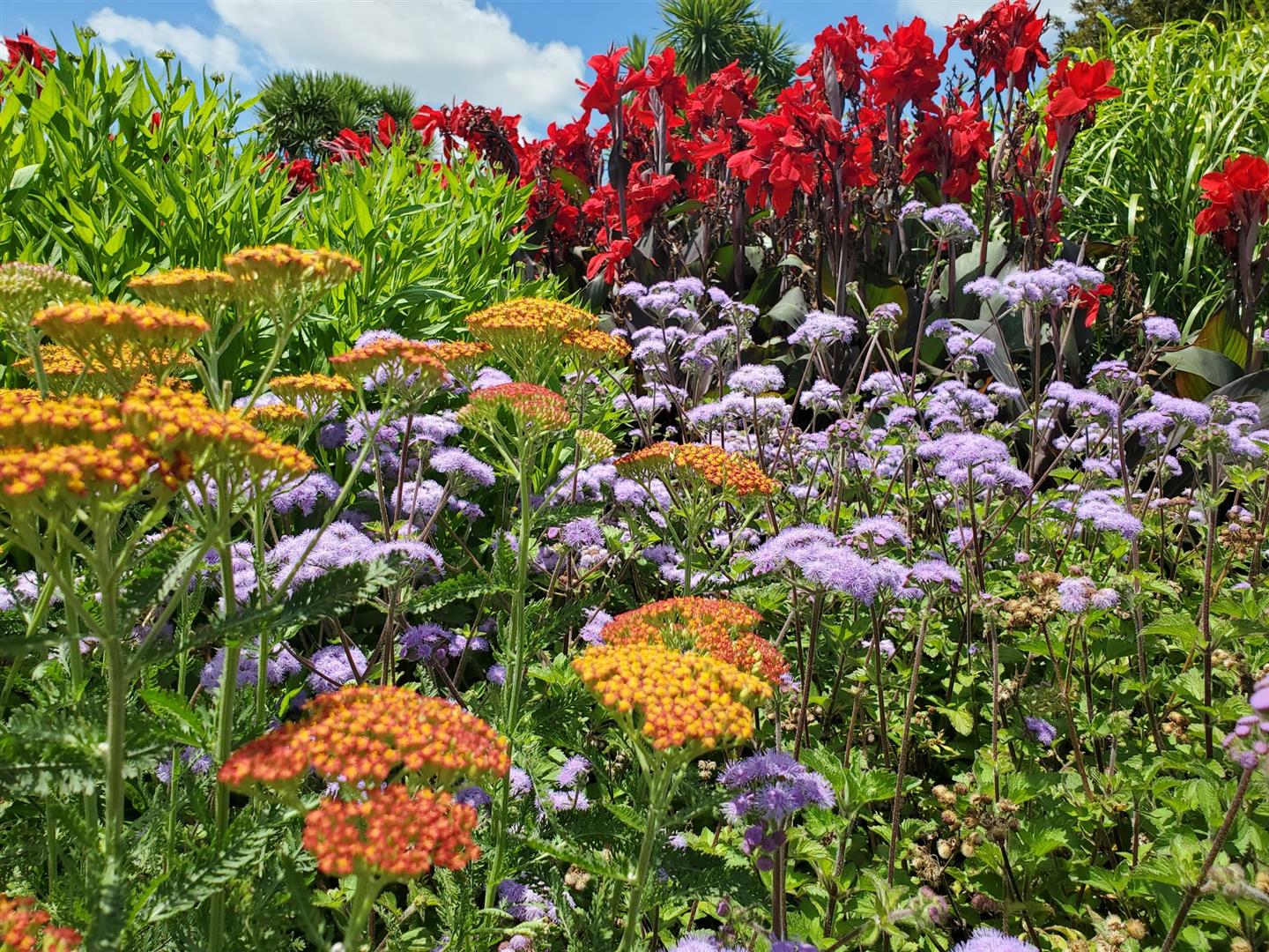 Auckland Botanic Gardens