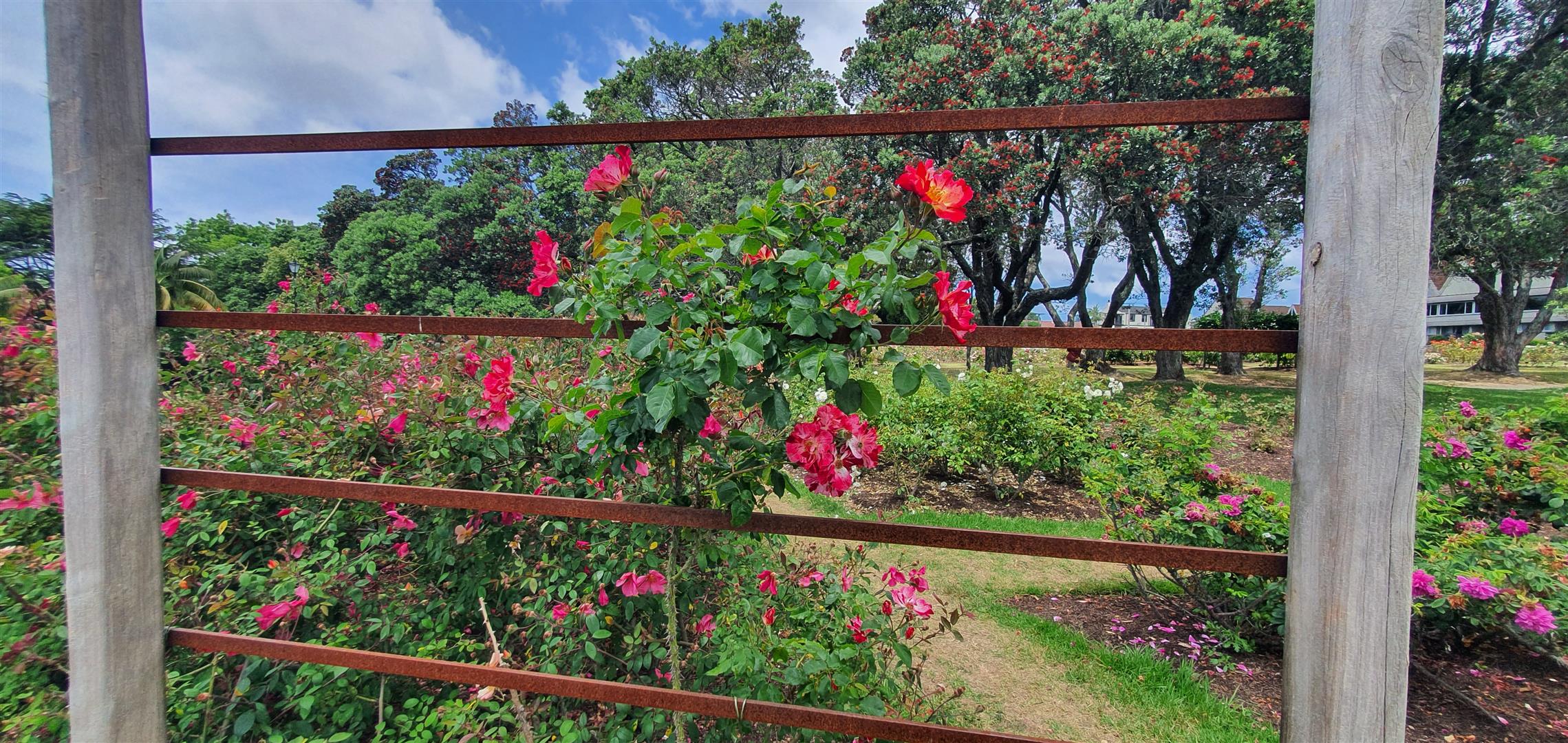 Shutter Stock