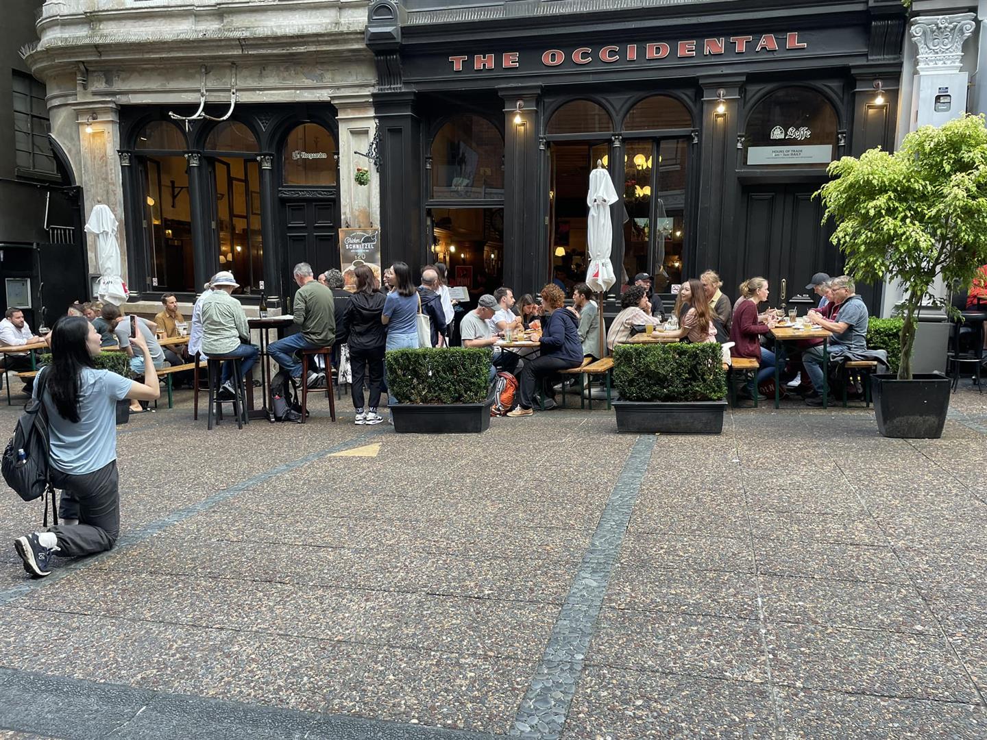 The Occidental