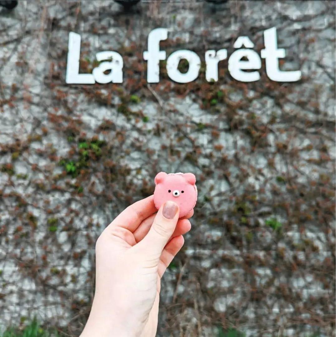 La Forêt