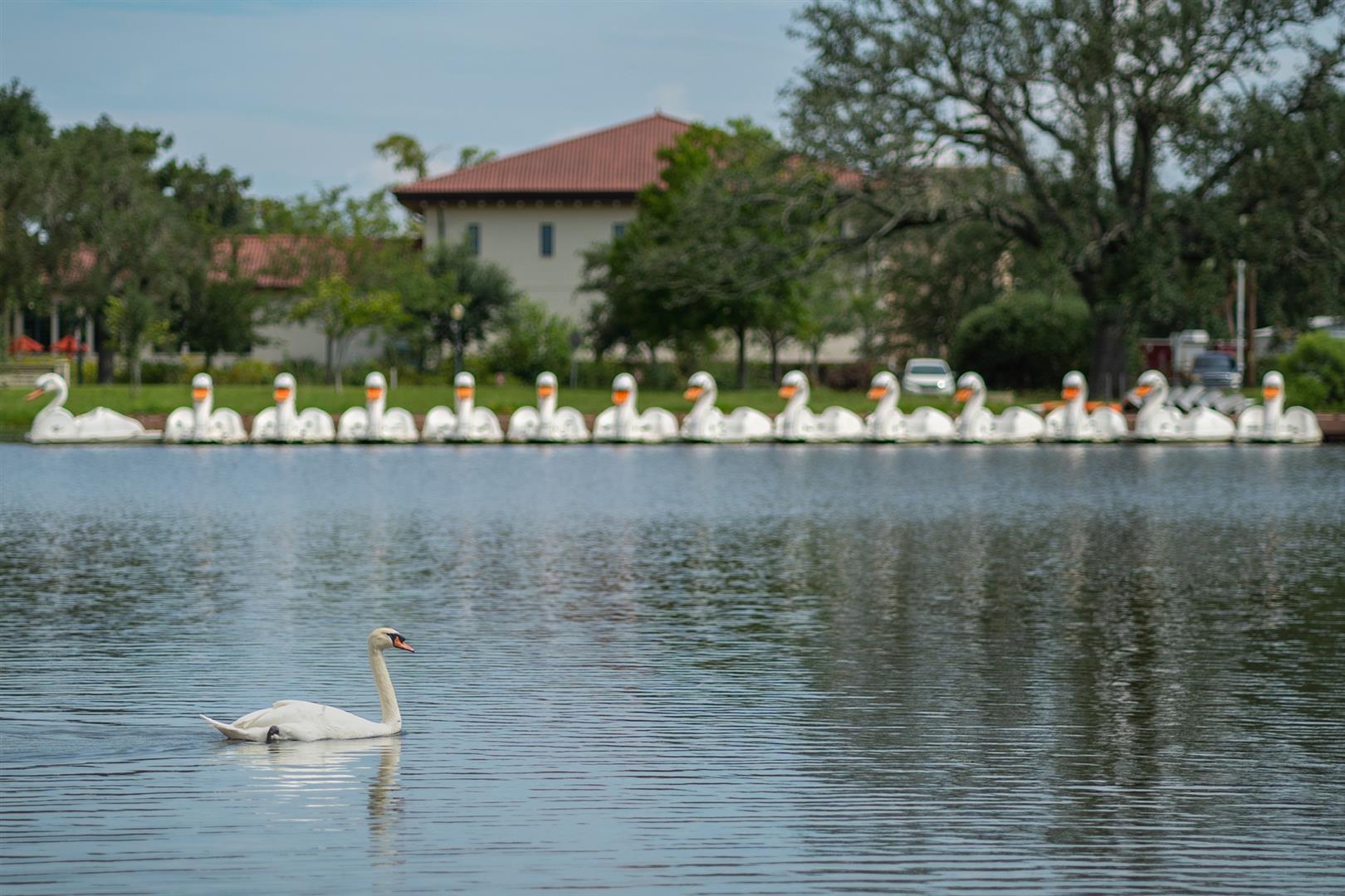 New Orleans City Park