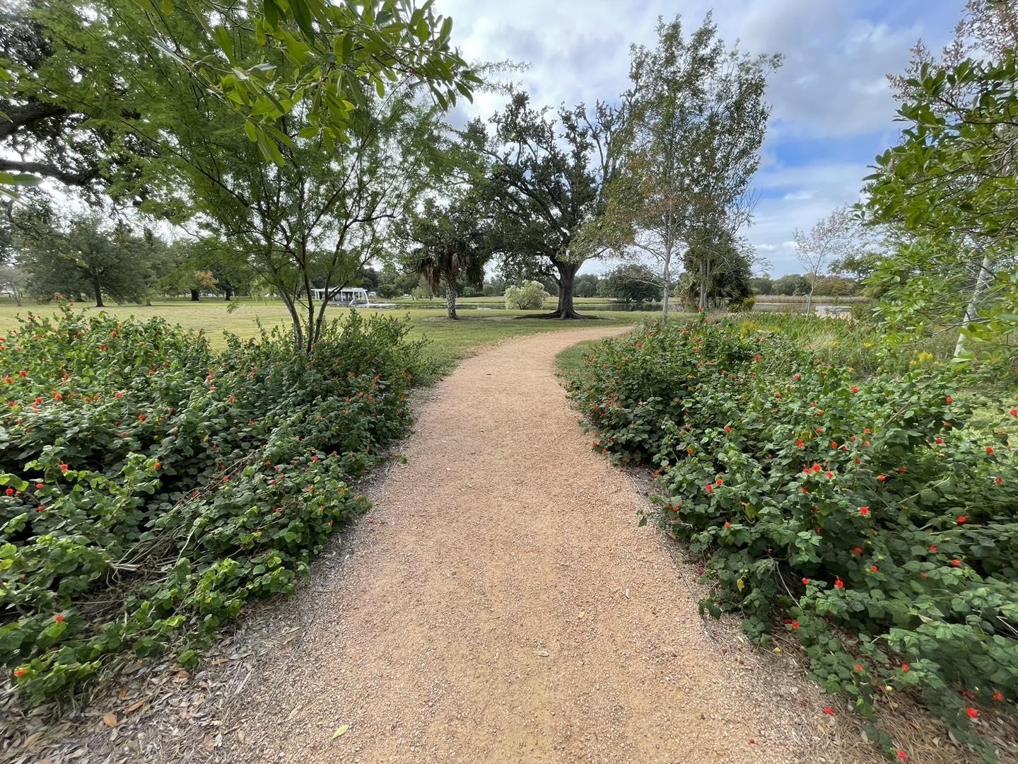 New Orleans City Park
