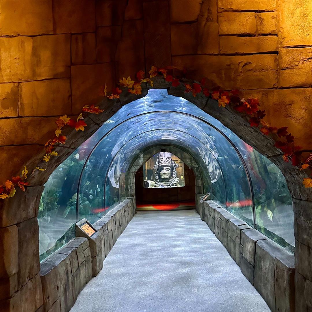 Audubon Aquarium