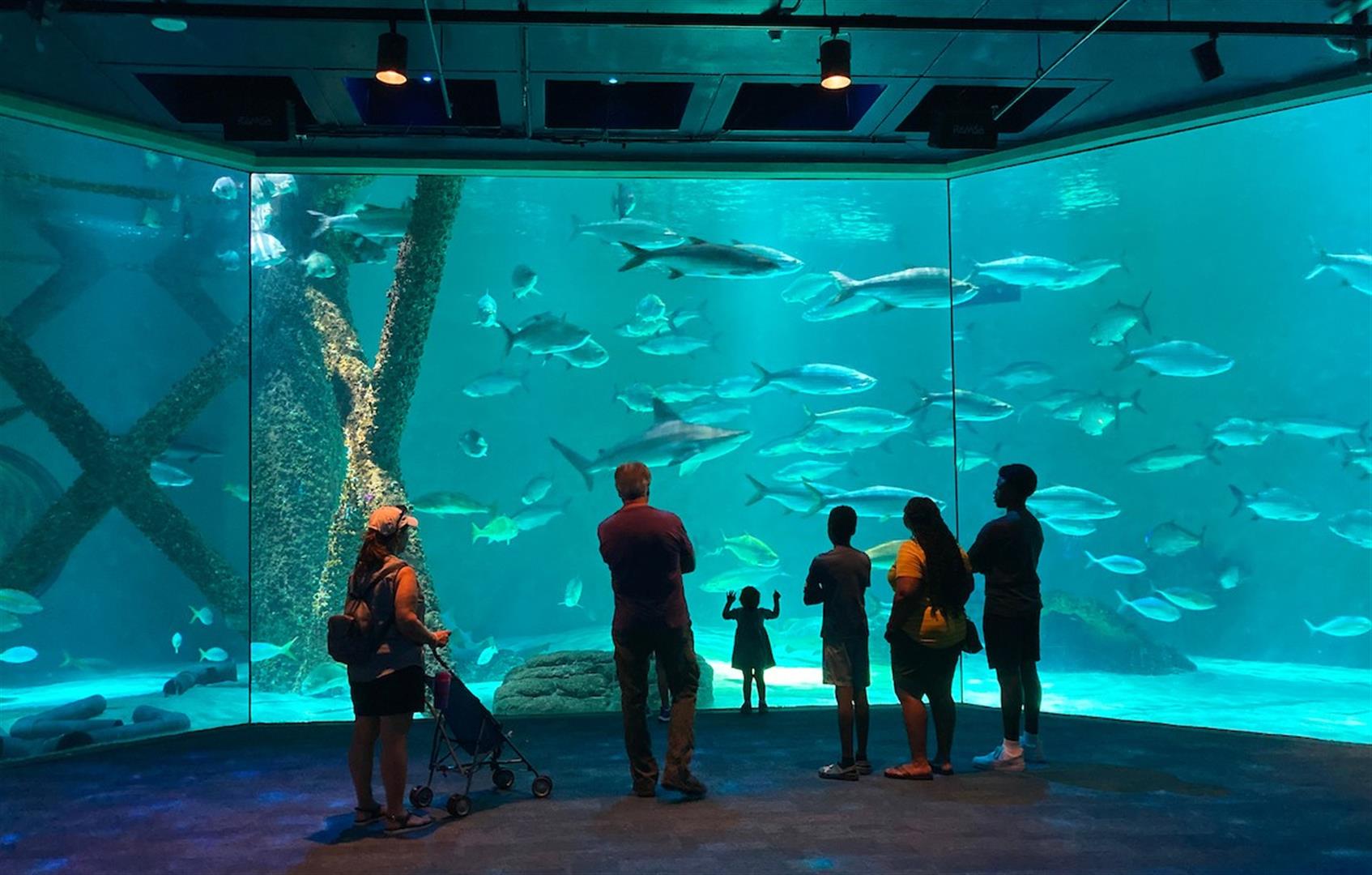 Audubon Aquarium