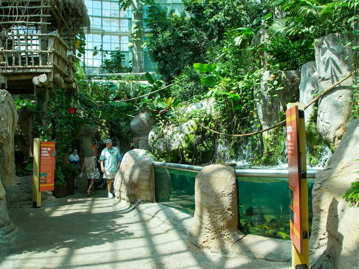 Audubon Aquarium