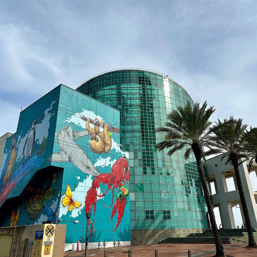 Audubon Aquarium