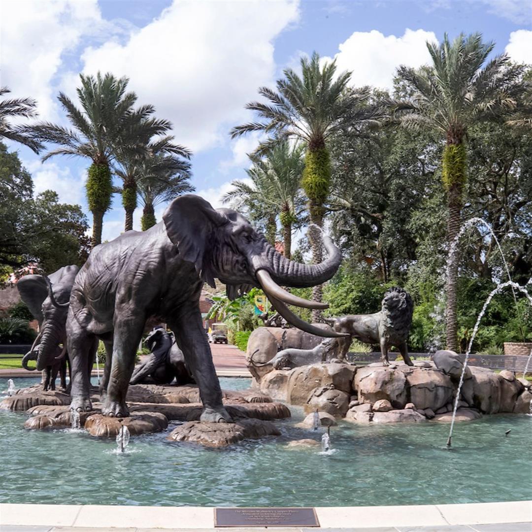 Audubon Zoo
