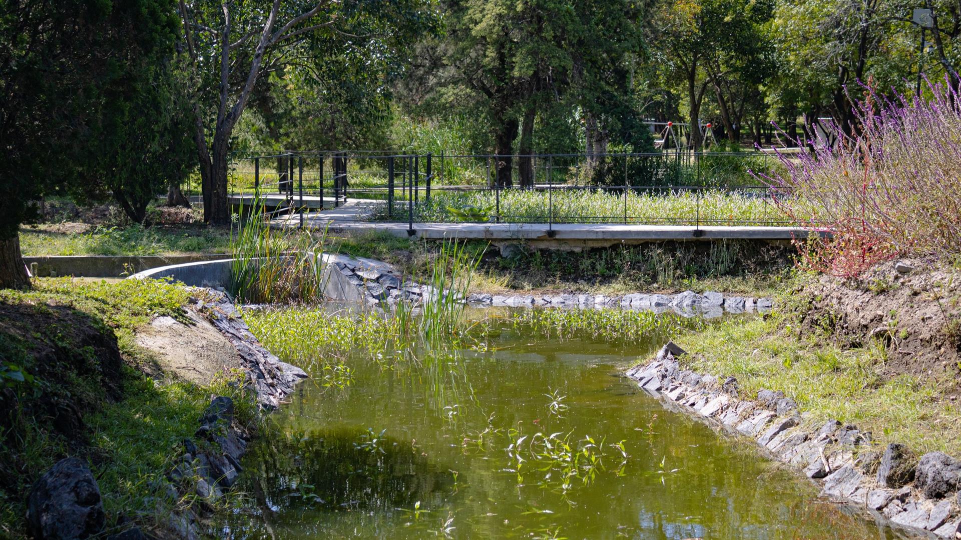 Bosque de Chapultepec