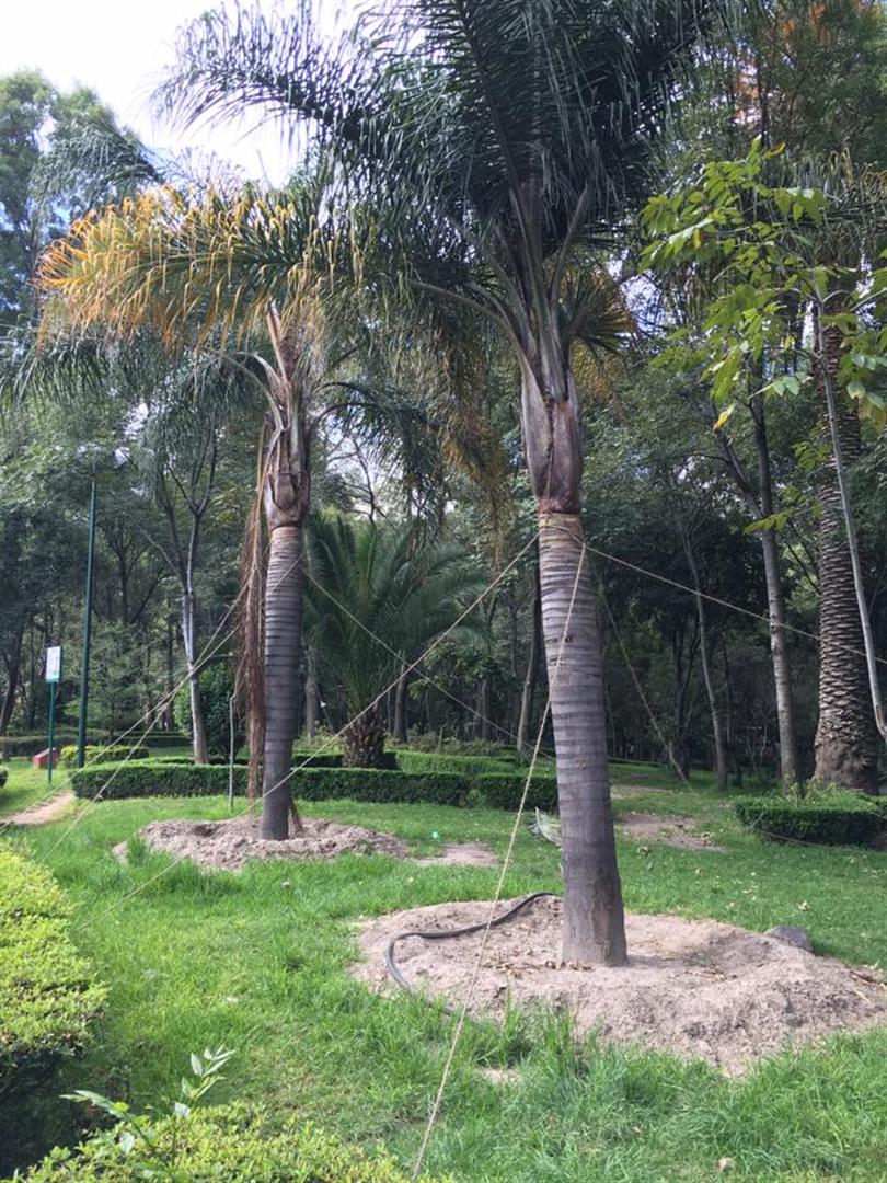 Parque Hundido
