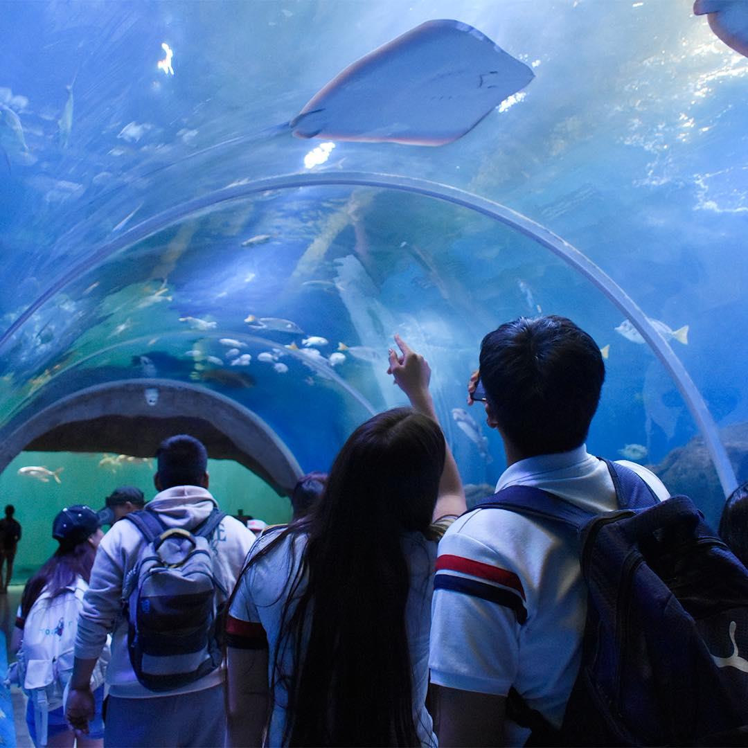 Zoologico Guadalajara