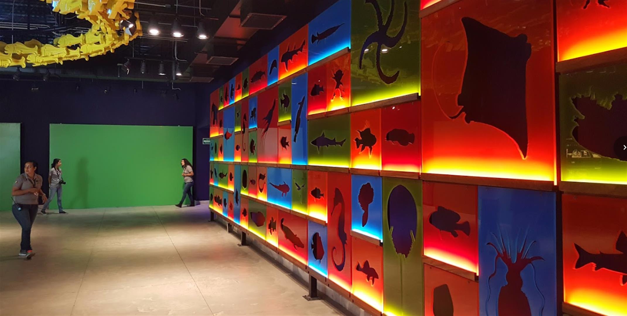 Acuario Michin Guadalajara