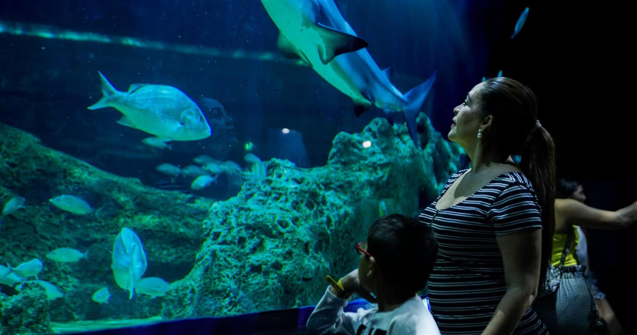 Acuario Michin Guadalajara