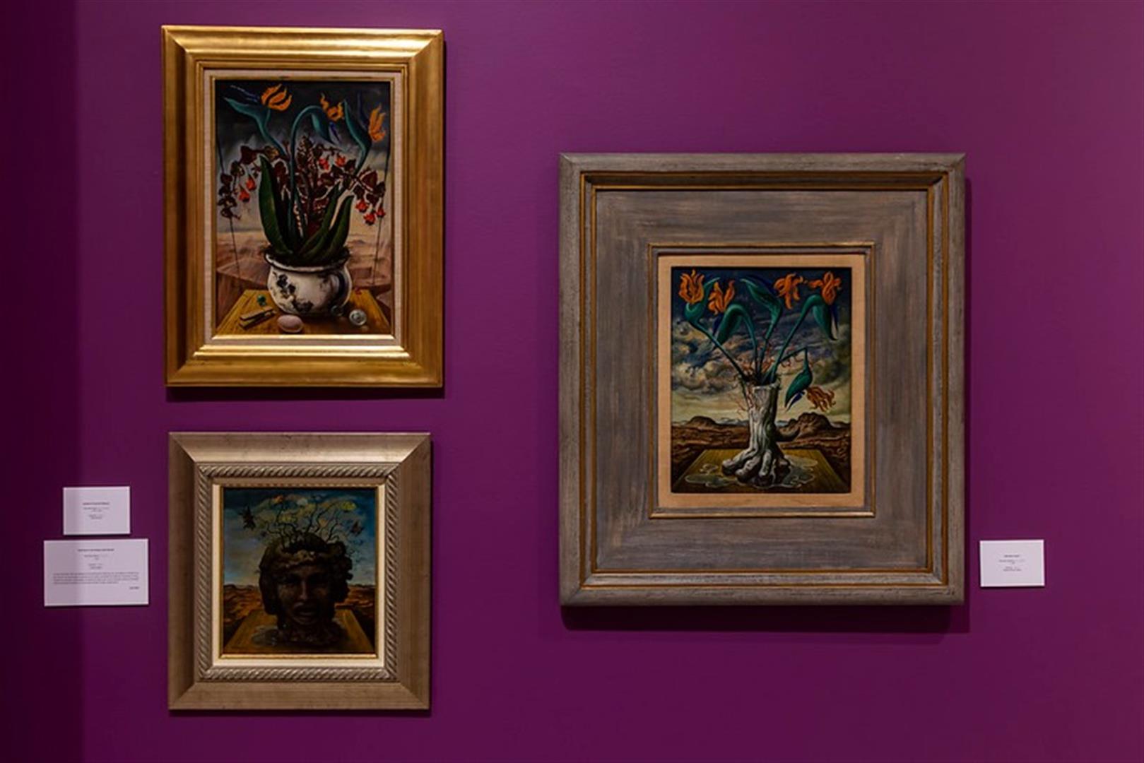 MUSA Museum of the Arts University of Guadalajara