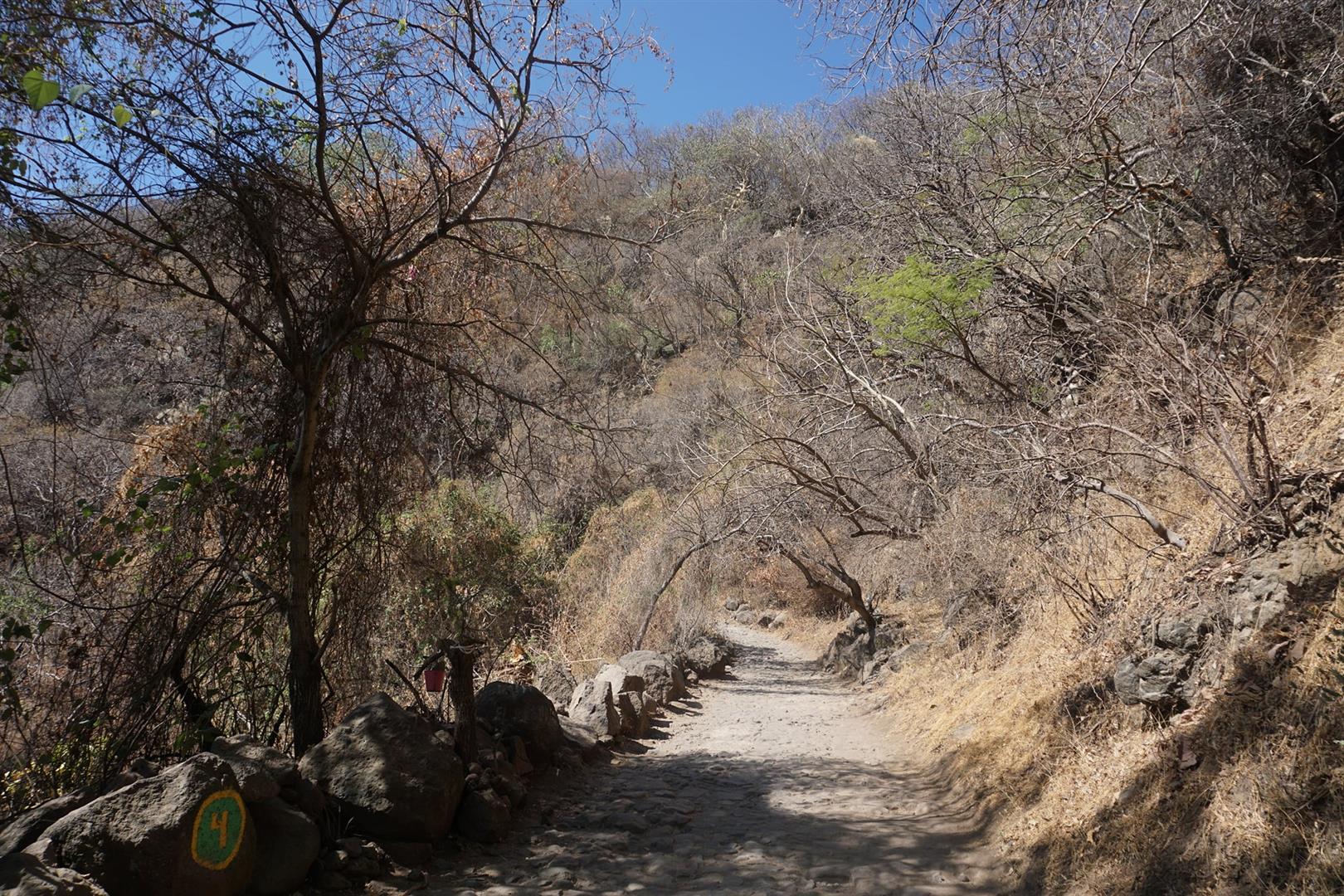 Barranca de Oblatos