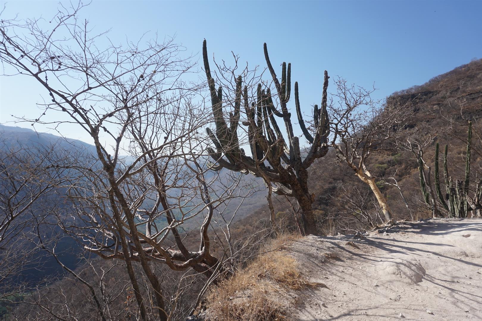 Barranca de Oblatos