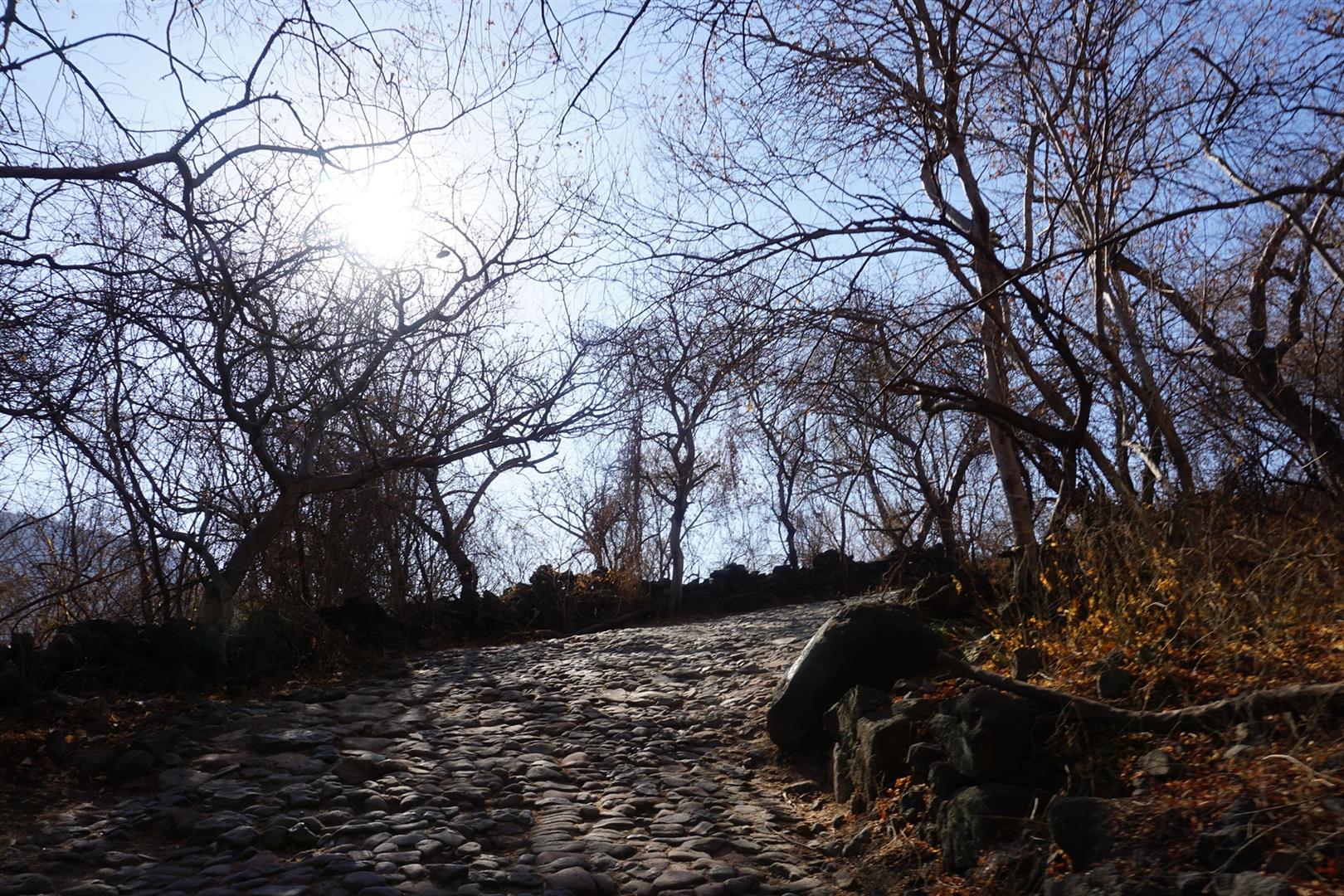 Barranca de Oblatos