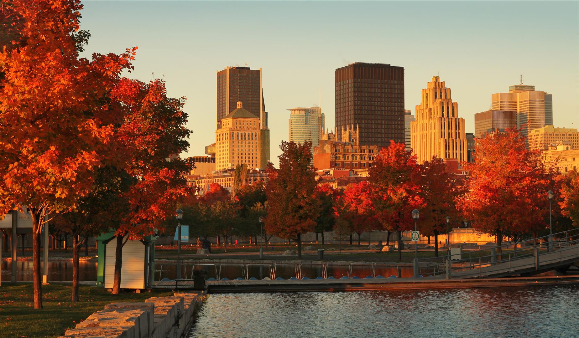 Shutter Stock