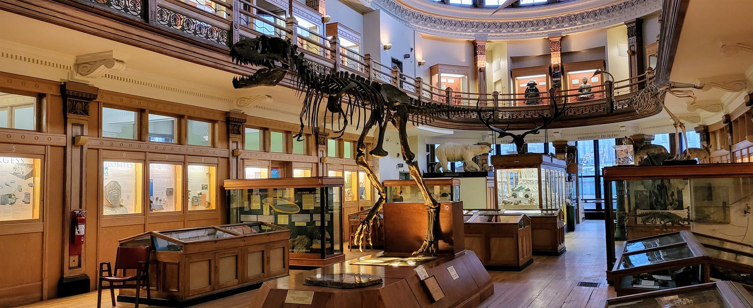 Redpath Museum