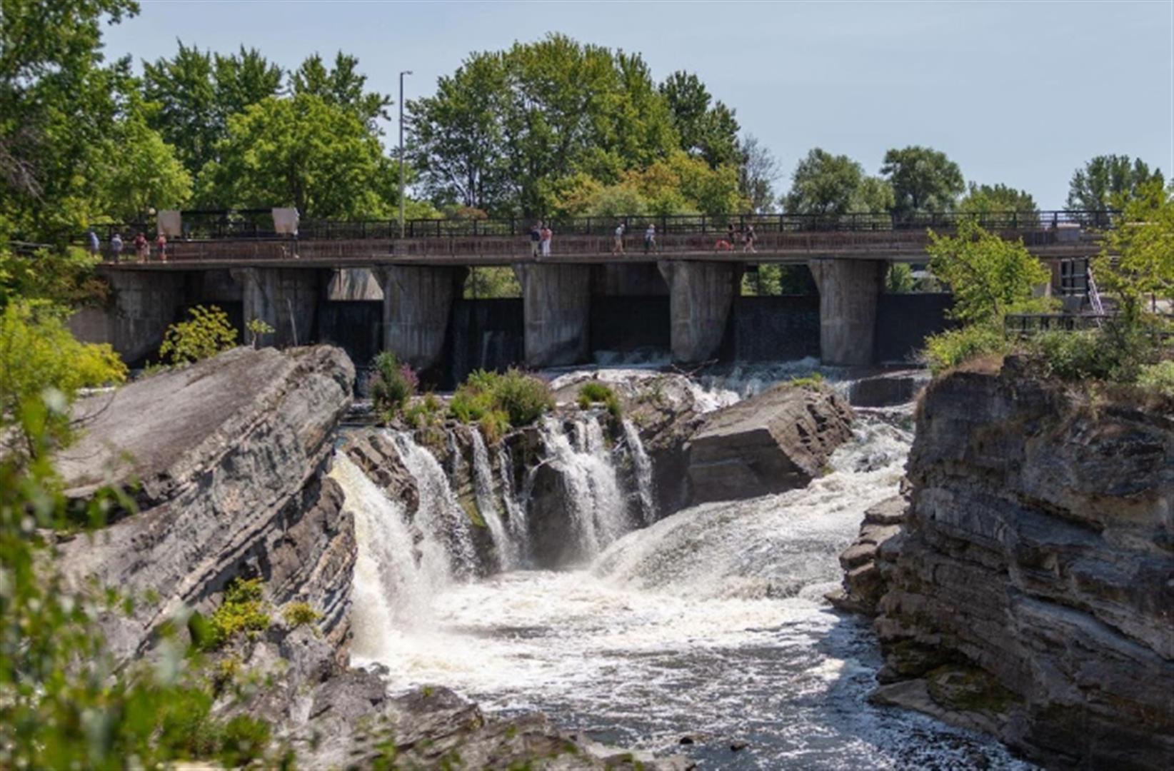 Hog's Back Park