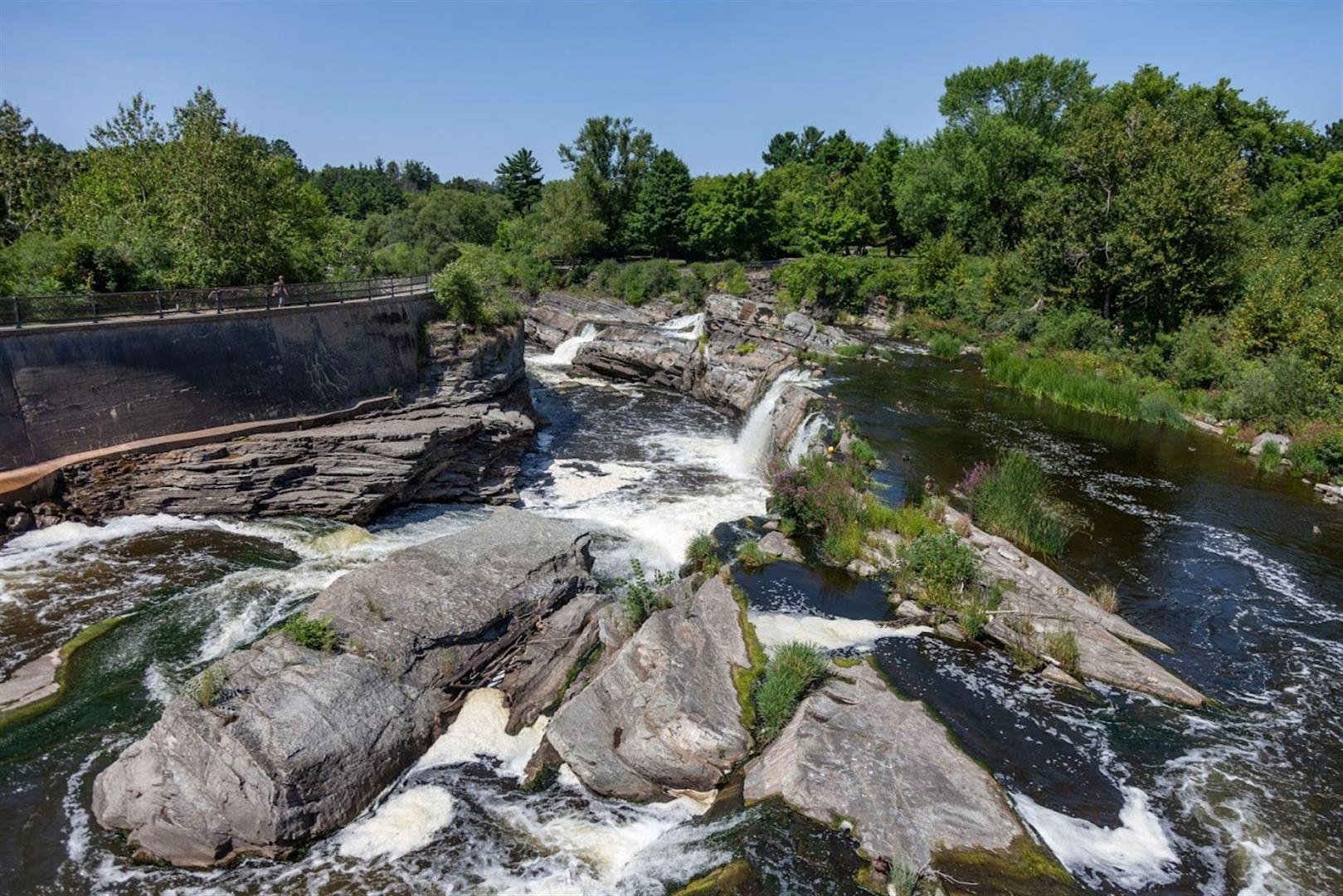 Hog's Back Park