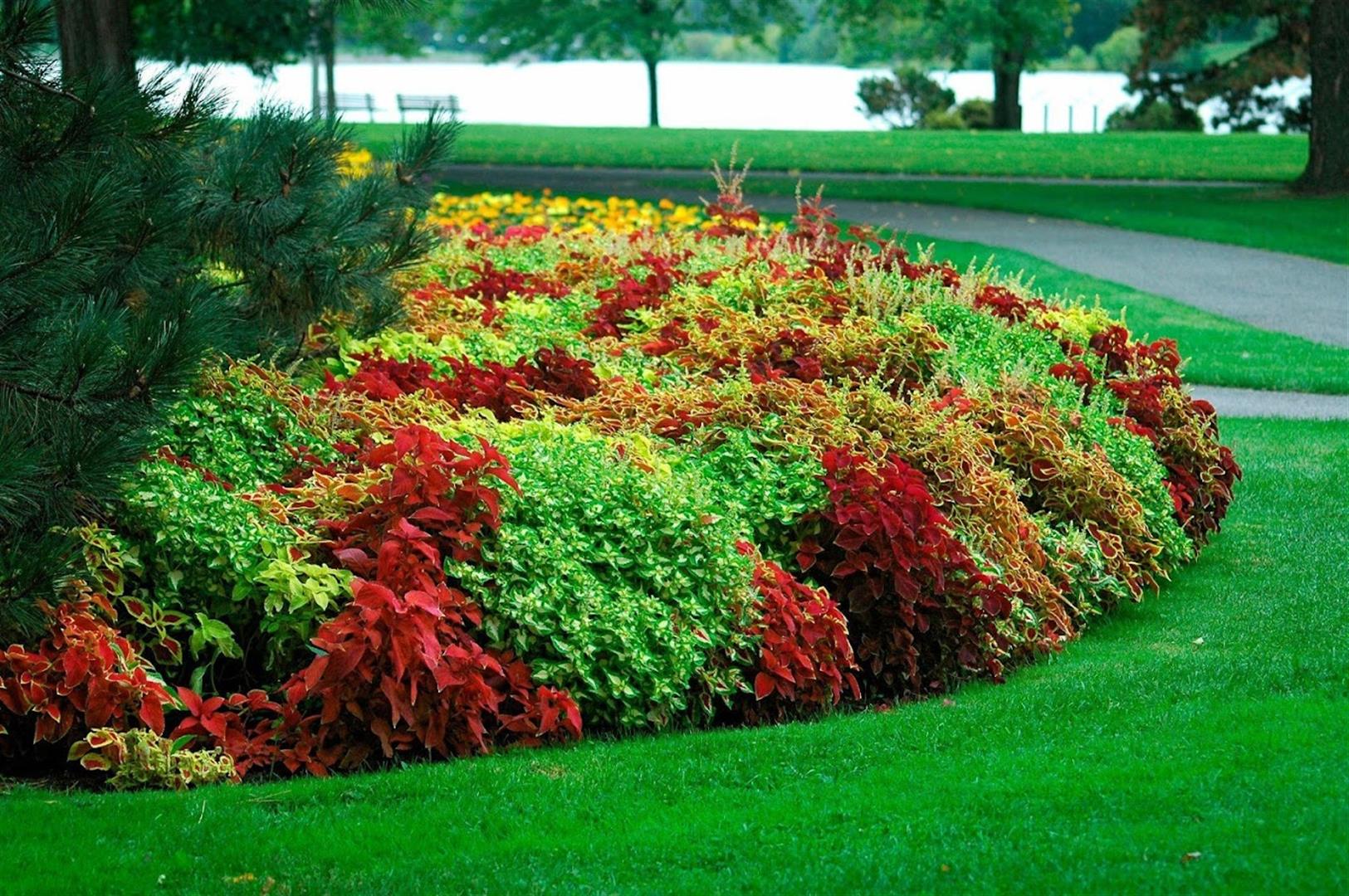 Commissioners Park