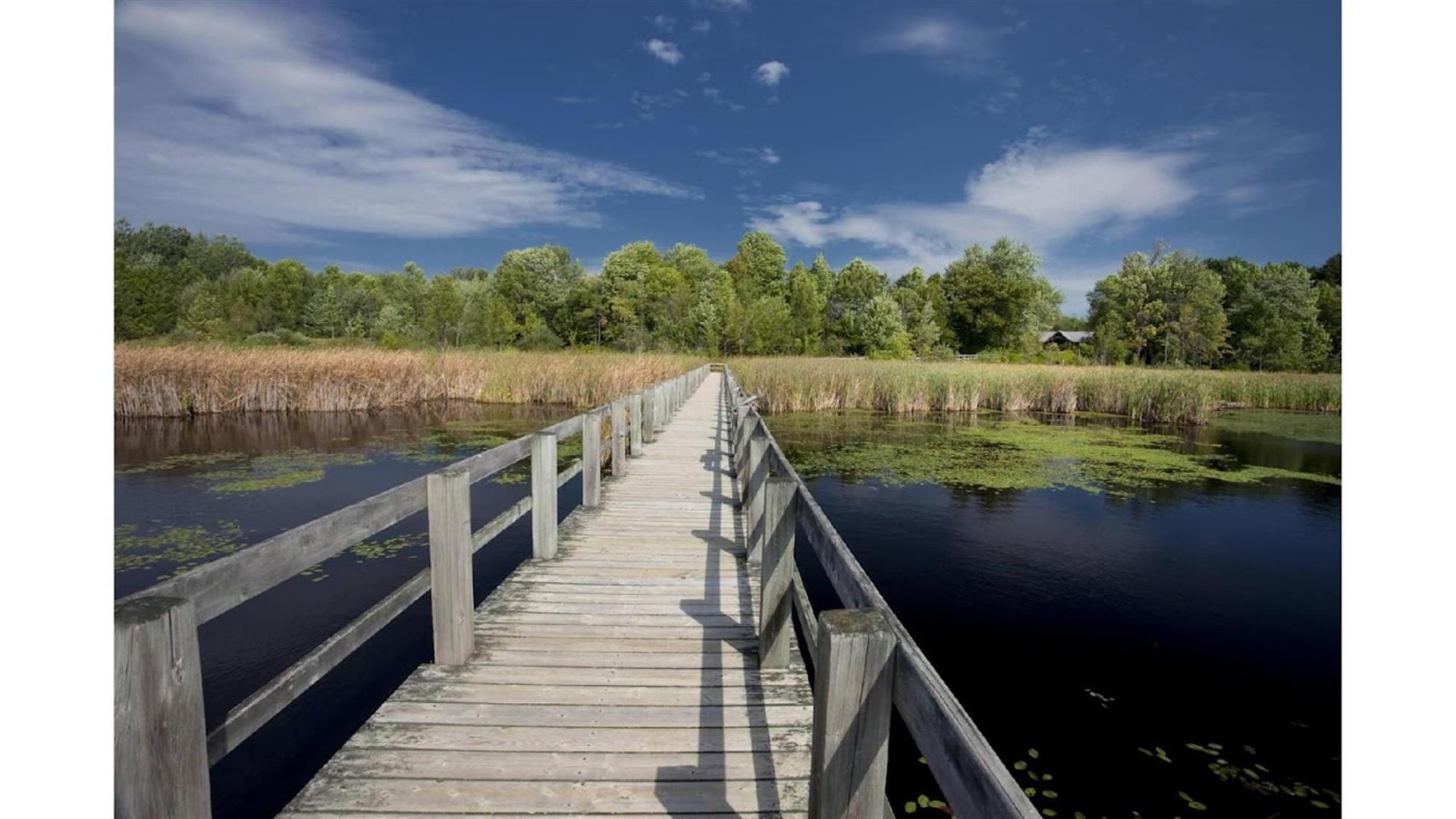 Mer Bleue Bog
