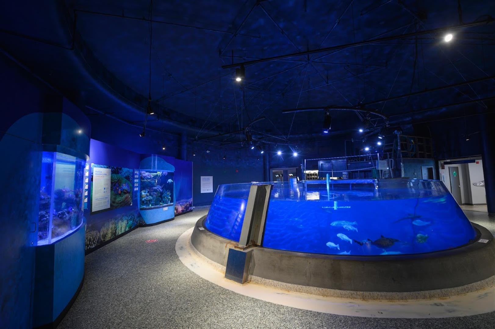 Aquarium of Quebec