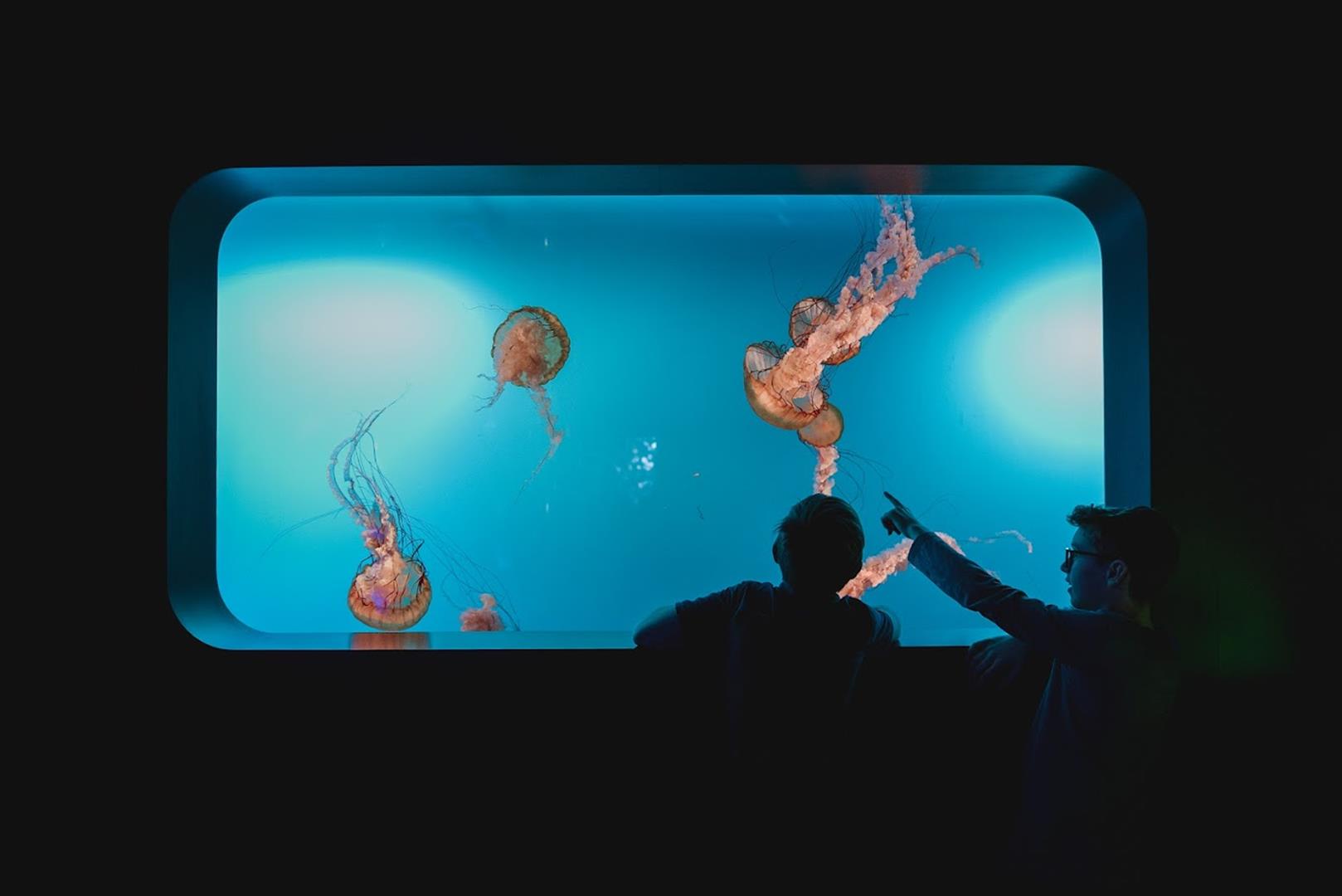 Aquarium of Quebec
