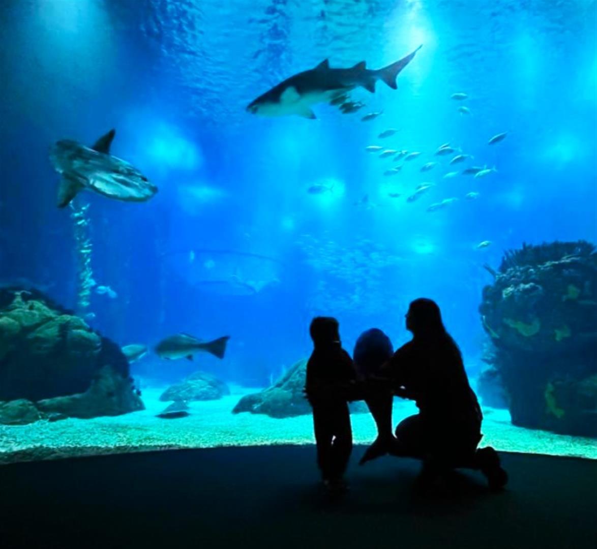 Oceanário de Lisboa
