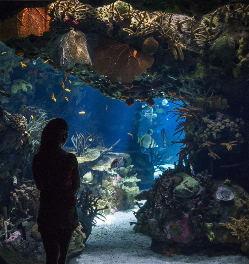 Oceanário de Lisboa