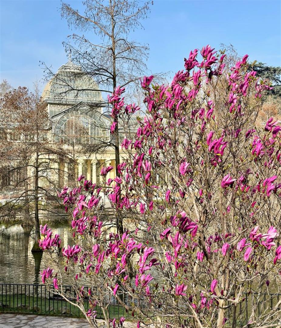 El Retiro Park