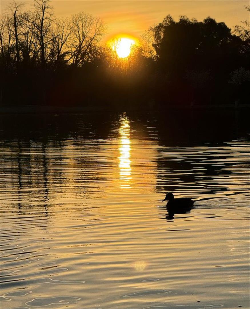El Retiro Park
