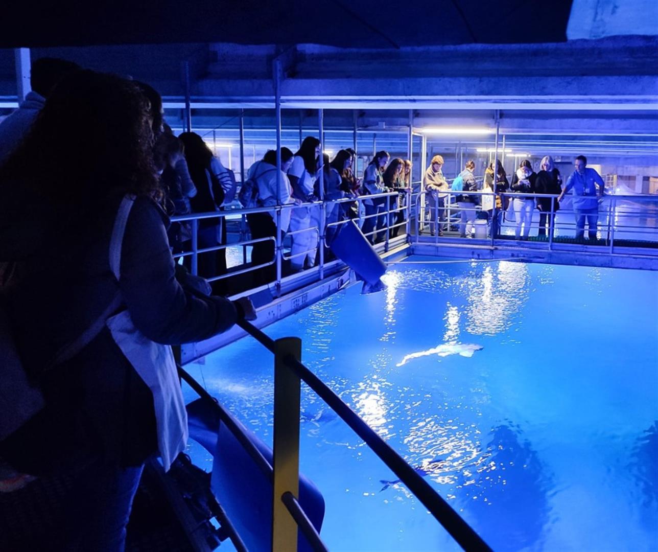 L'Oceanogràfic