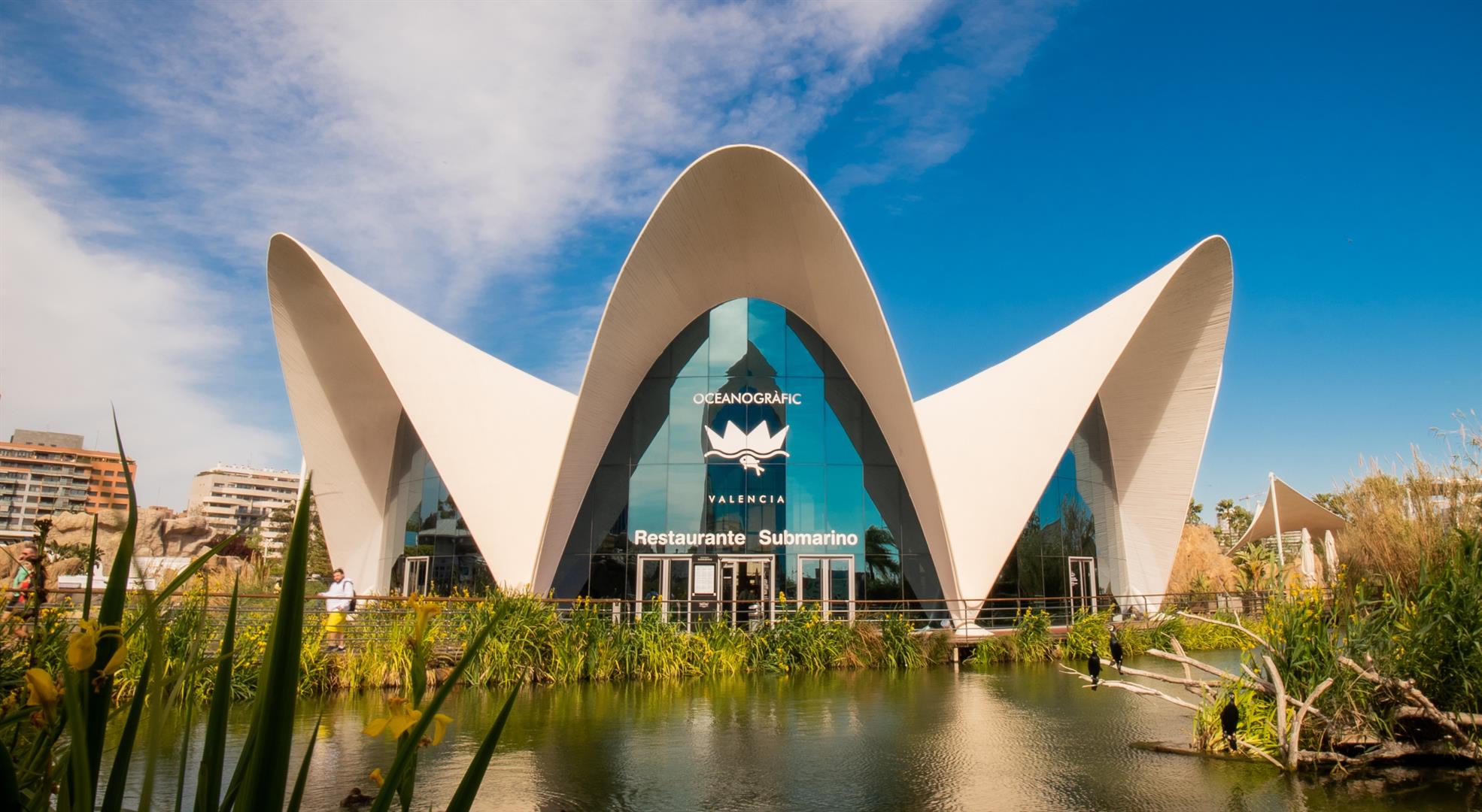 L'Oceanogràfic