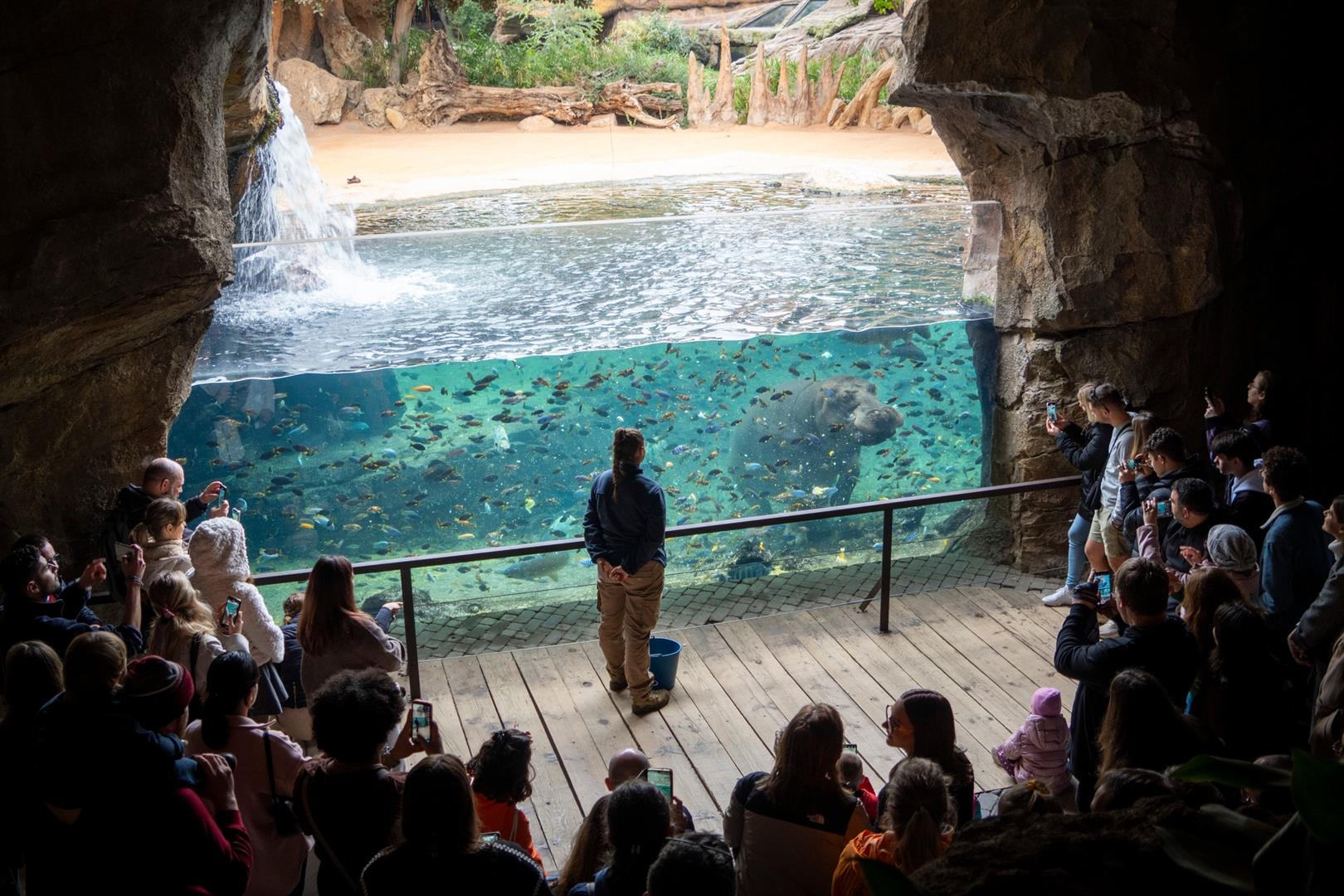 Bioparc Valencia