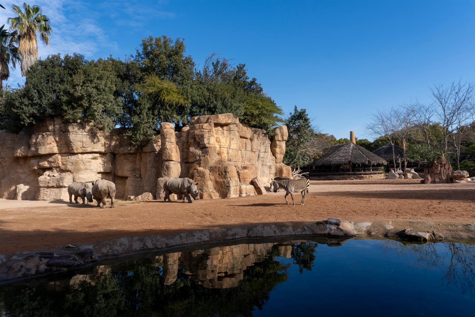 Bioparc Valencia