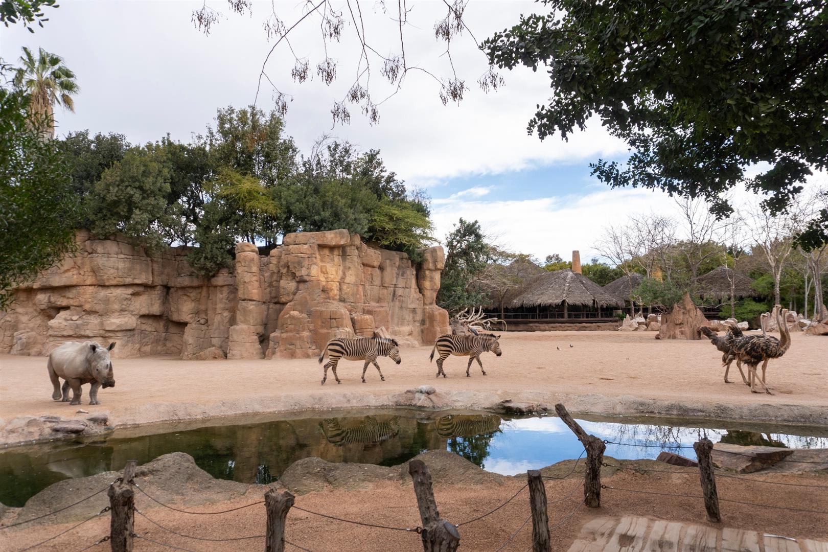 Bioparc Valencia