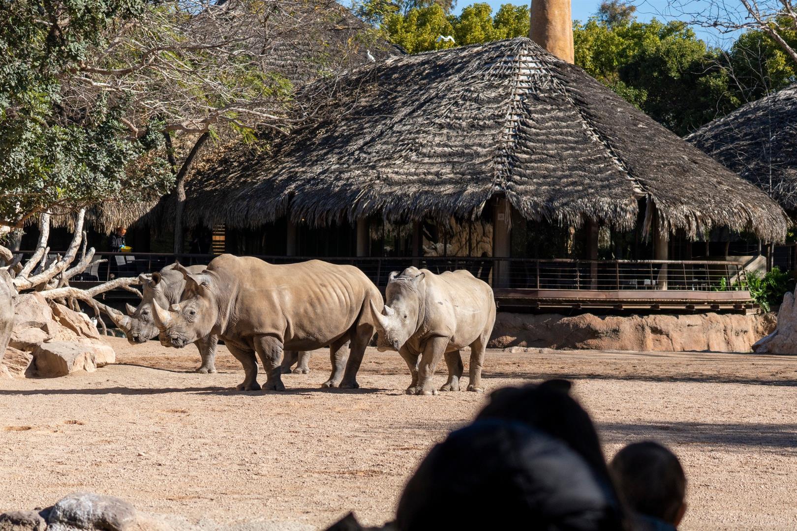 Bioparc Valencia